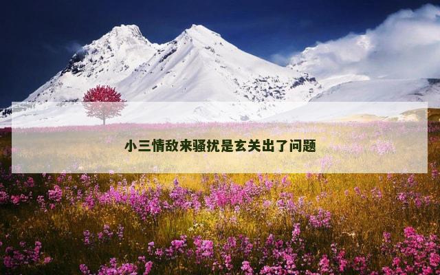 小三情敌来骚扰是玄关出了问题