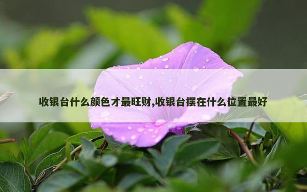 收银台什么颜色才最旺财,收银台摆在什么位置最好