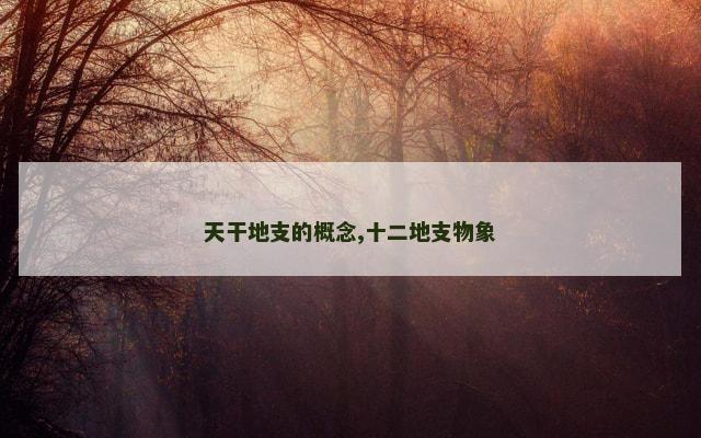 天干地支的概念,十二地支物象