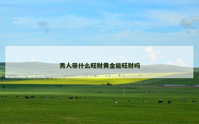 男人带什么旺财黄金能旺财吗