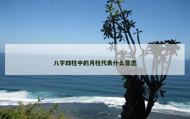 八字四柱中的月柱代表什么意思