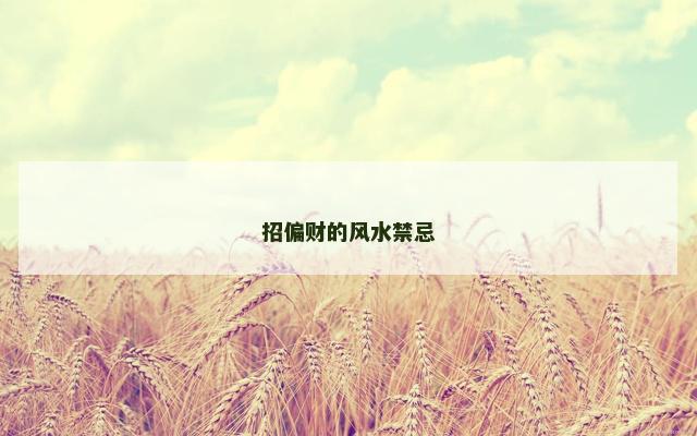 招偏财的风水禁忌