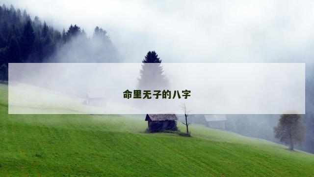 命里无子的八字