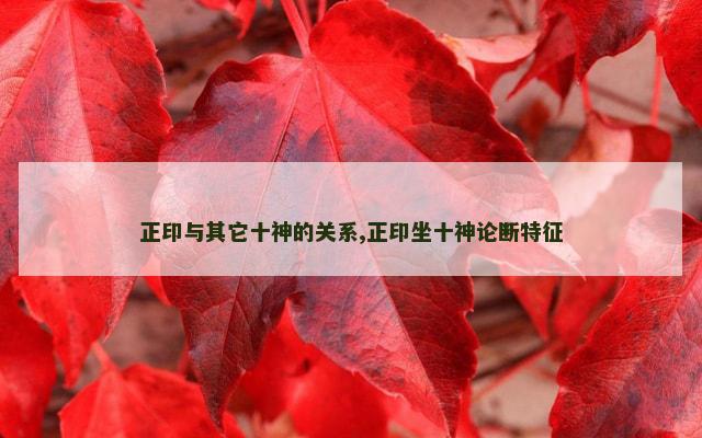 正印与其它十神的关系,正印坐十神论断特征