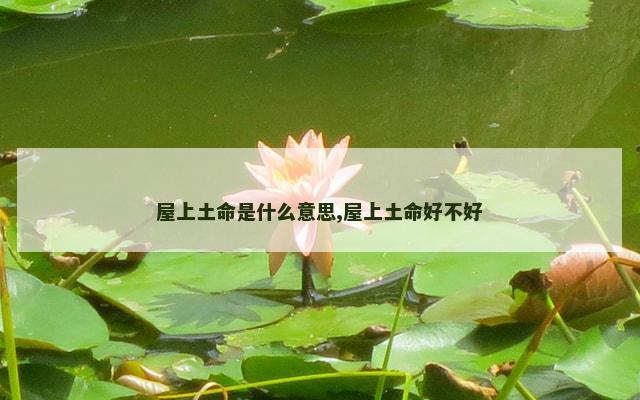 屋上土命是什么意思,屋上土命好不好