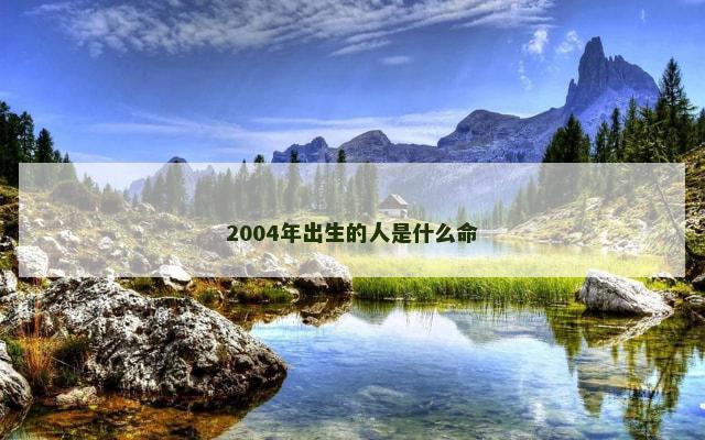 2004年出生的人是什么命