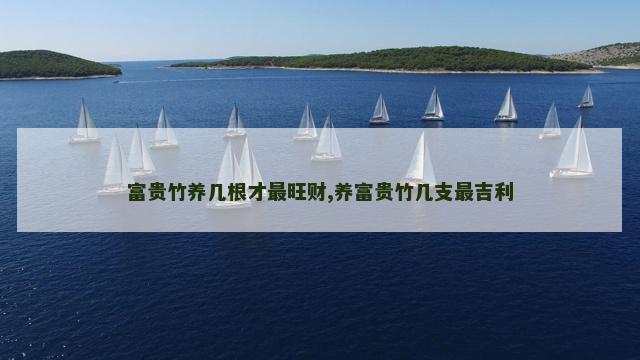 富贵竹养几根才最旺财,养富贵竹几支最吉利