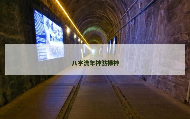 八字流年神煞禄神