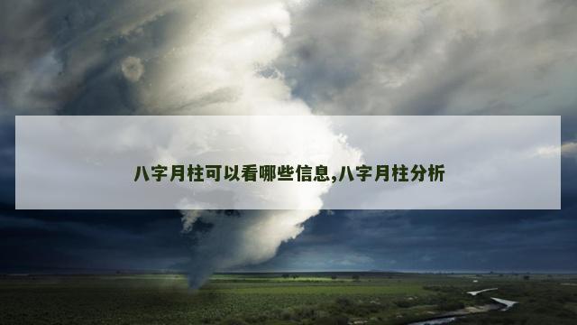 八字月柱可以看哪些信息,八字月柱分析