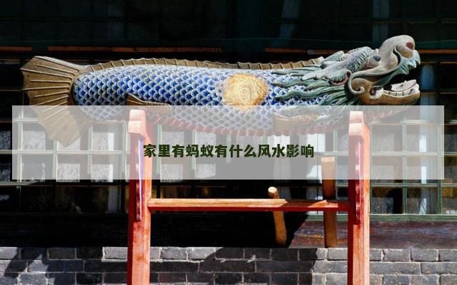家里有蚂蚁有什么风水影响