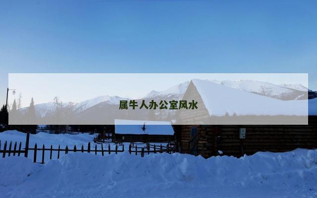 属牛人办公室风水