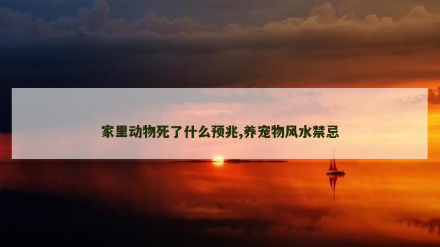 家里动物死了什么预兆,养宠物风水禁忌