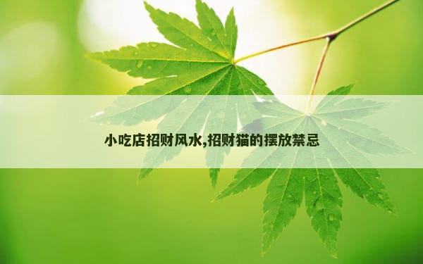 小吃店招财风水,招财猫的摆放禁忌