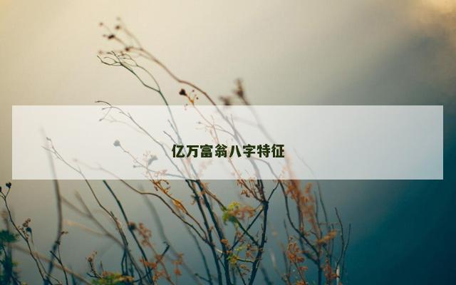 亿万富翁八字特征