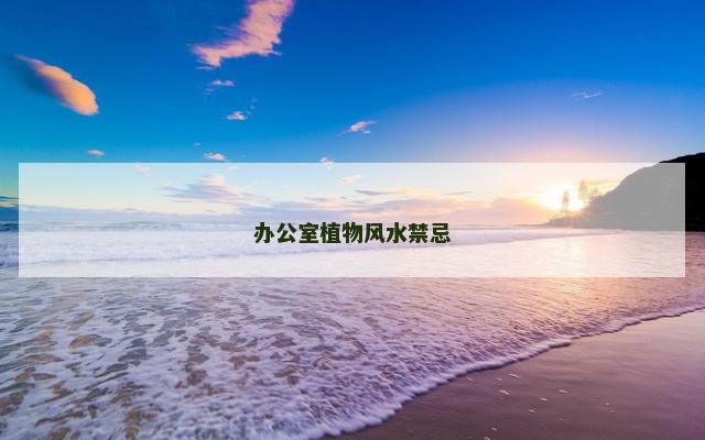 办公室植物风水禁忌
