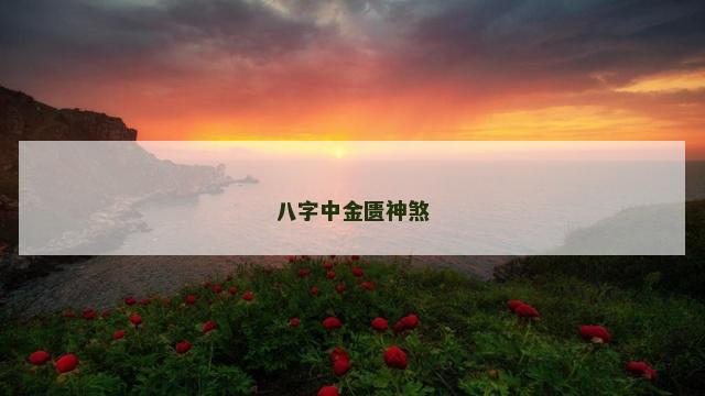 八字中金匮神煞