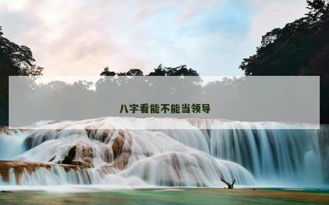 八字看能不能当领导