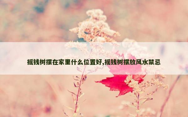 摇钱树摆在家里什么位置好,摇钱树摆放风水禁忌