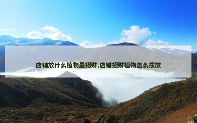 店铺放什么植物最招财,店铺招财植物怎么摆放