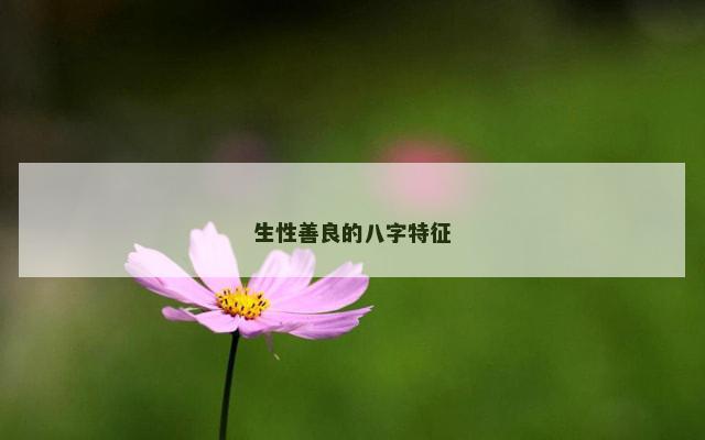 生性善良的八字特征