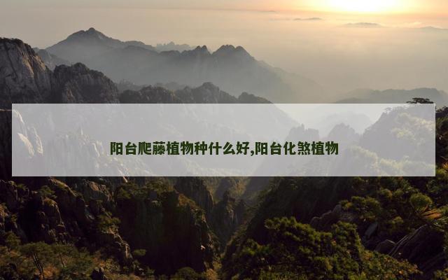 阳台爬藤植物种什么好,阳台化煞植物