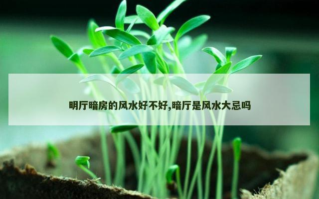 明厅暗房的风水好不好,暗厅是风水大忌吗