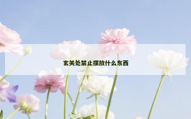 玄关处禁止摆放什么东西