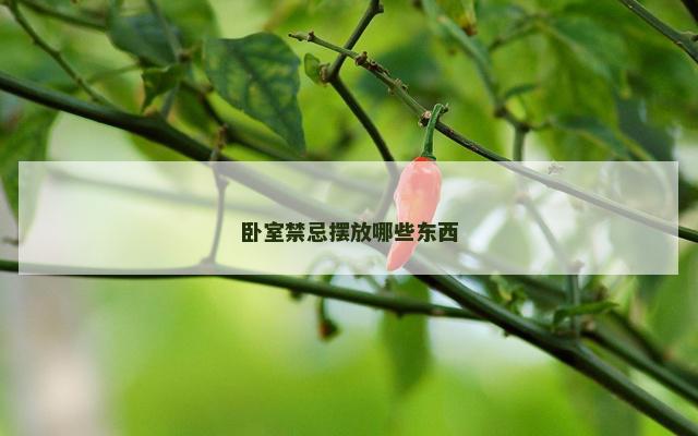 卧室禁忌摆放哪些东西