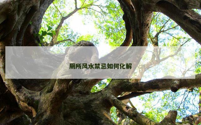 厕所风水禁忌如何化解