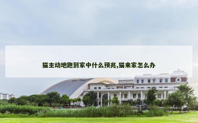猫主动地跑到家中什么预兆,猫来家怎么办