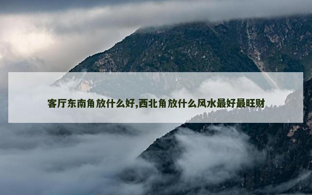 客厅东南角放什么好,西北角放什么风水最好最旺财