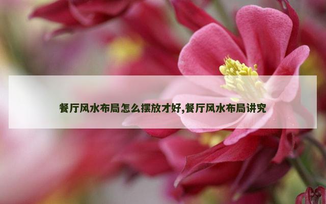 餐厅风水布局怎么摆放才好,餐厅风水布局讲究