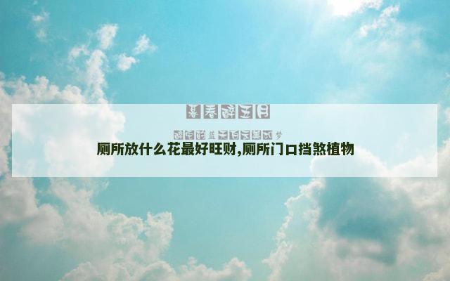 厕所放什么花最好旺财,厕所门口挡煞植物
