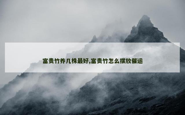 富贵竹养几株最好,富贵竹怎么摆放催运