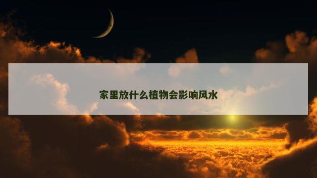家里放什么植物会影响风水