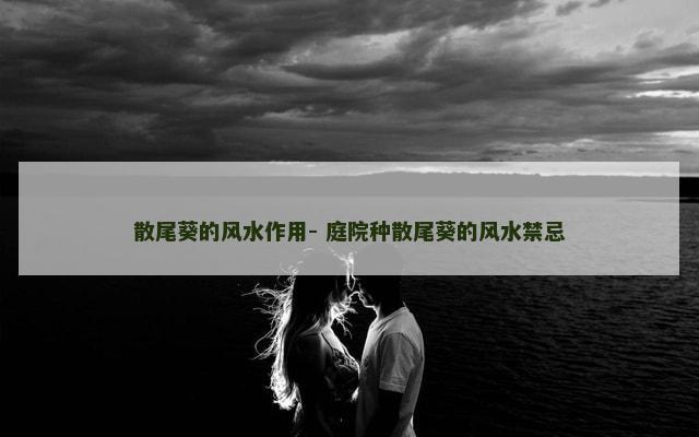 散尾葵的风水作用- 庭院种散尾葵的风水禁忌