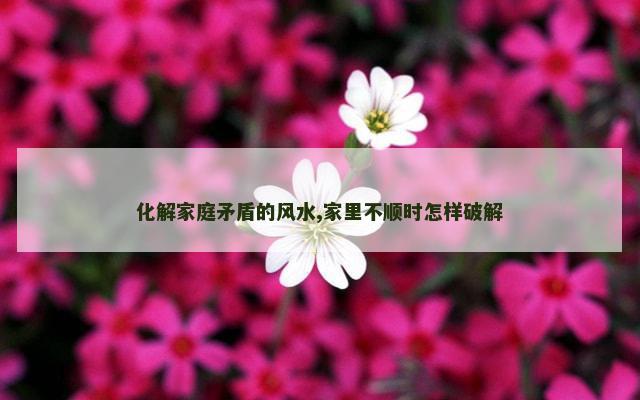 化解家庭矛盾的风水,家里不顺时怎样破解