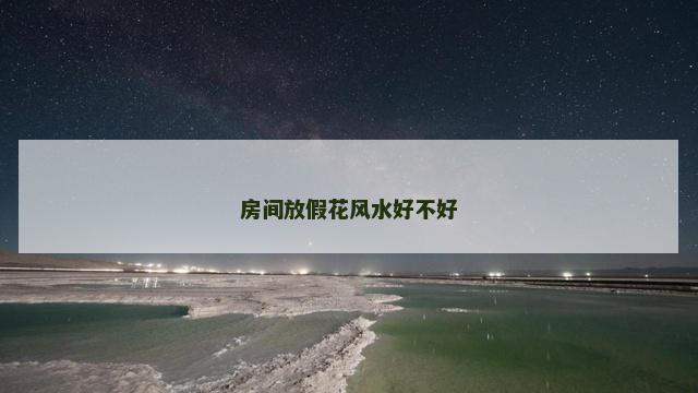 房间放假花风水好不好