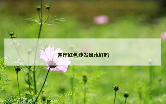 客厅红色沙发风水好吗