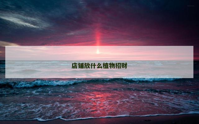 店铺放什么植物招财