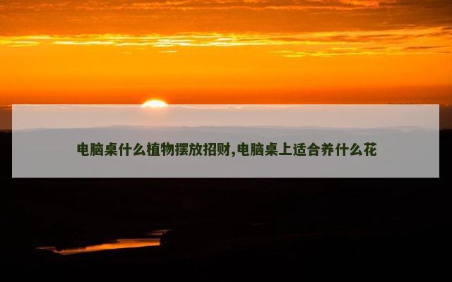 电脑桌什么植物摆放招财,电脑桌上适合养什么花
