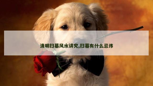 清明扫墓风水讲究,扫墓有什么忌讳