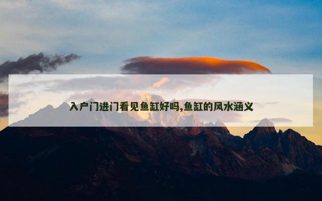 入户门进门看见鱼缸好吗,鱼缸的风水涵义
