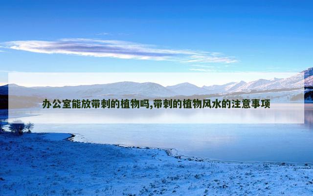 办公室能放带刺的植物吗,带刺的植物风水的注意事项