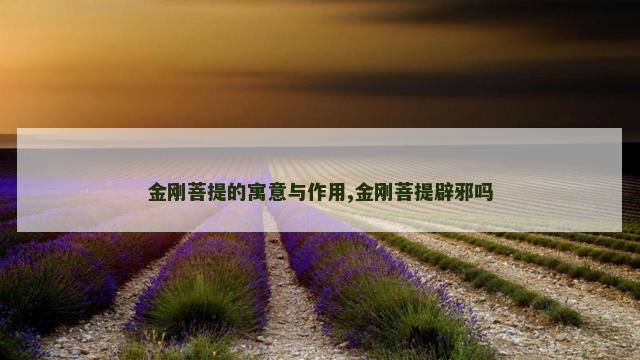 金刚菩提的寓意与作用,金刚菩提辟邪吗