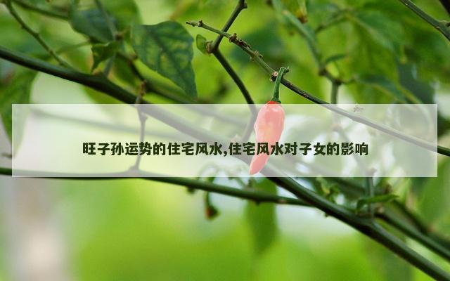 旺子孙运势的住宅风水,住宅风水对子女的影响