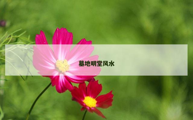 墓地明堂风水