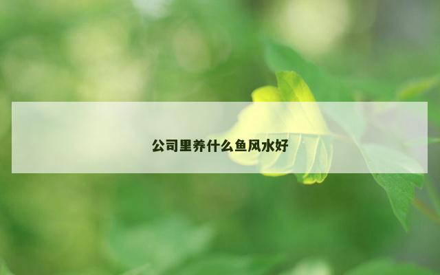 公司里养什么鱼风水好