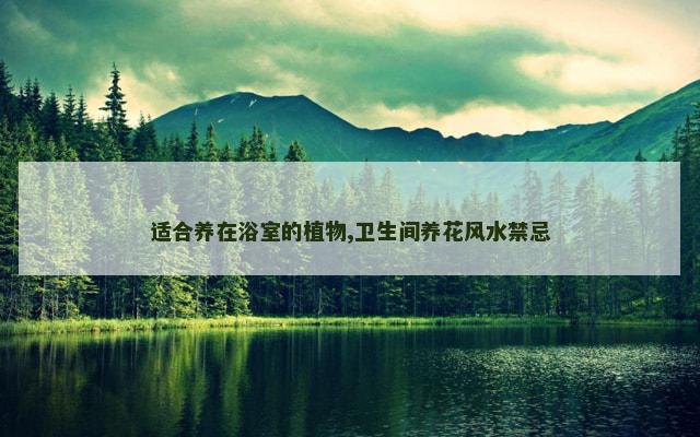 适合养在浴室的植物,卫生间养花风水禁忌