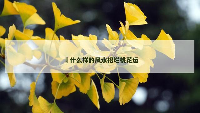 ​什么样的风水招烂桃花运